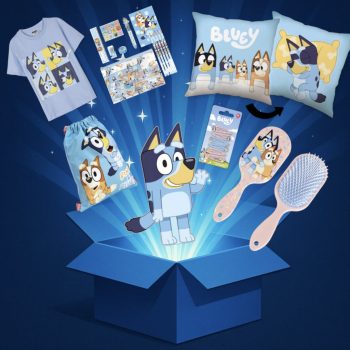 Bluey Mystery BOX